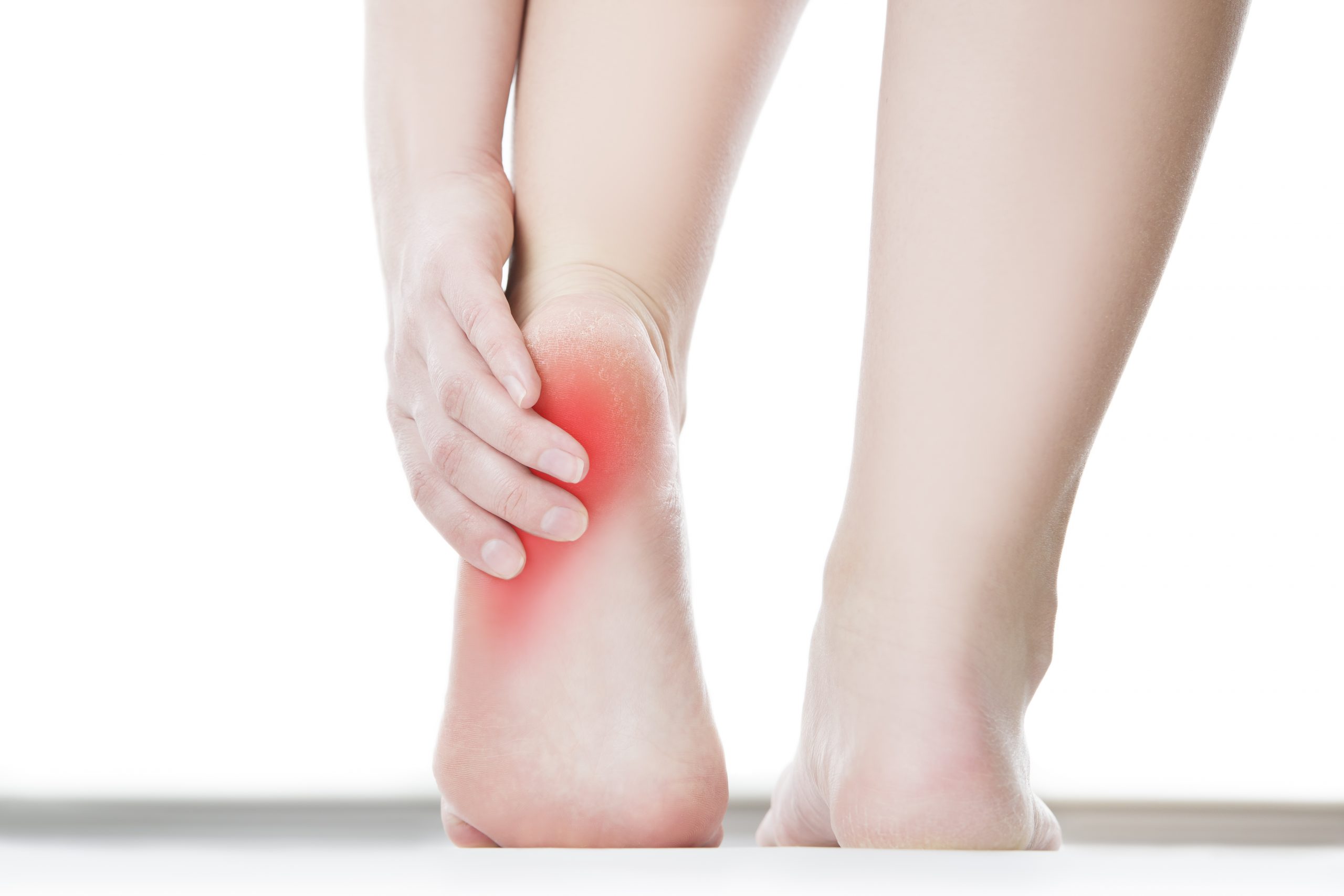 heel-and-ankle-pain-cheapest-clearance-save-45-jlcatj-gob-mx